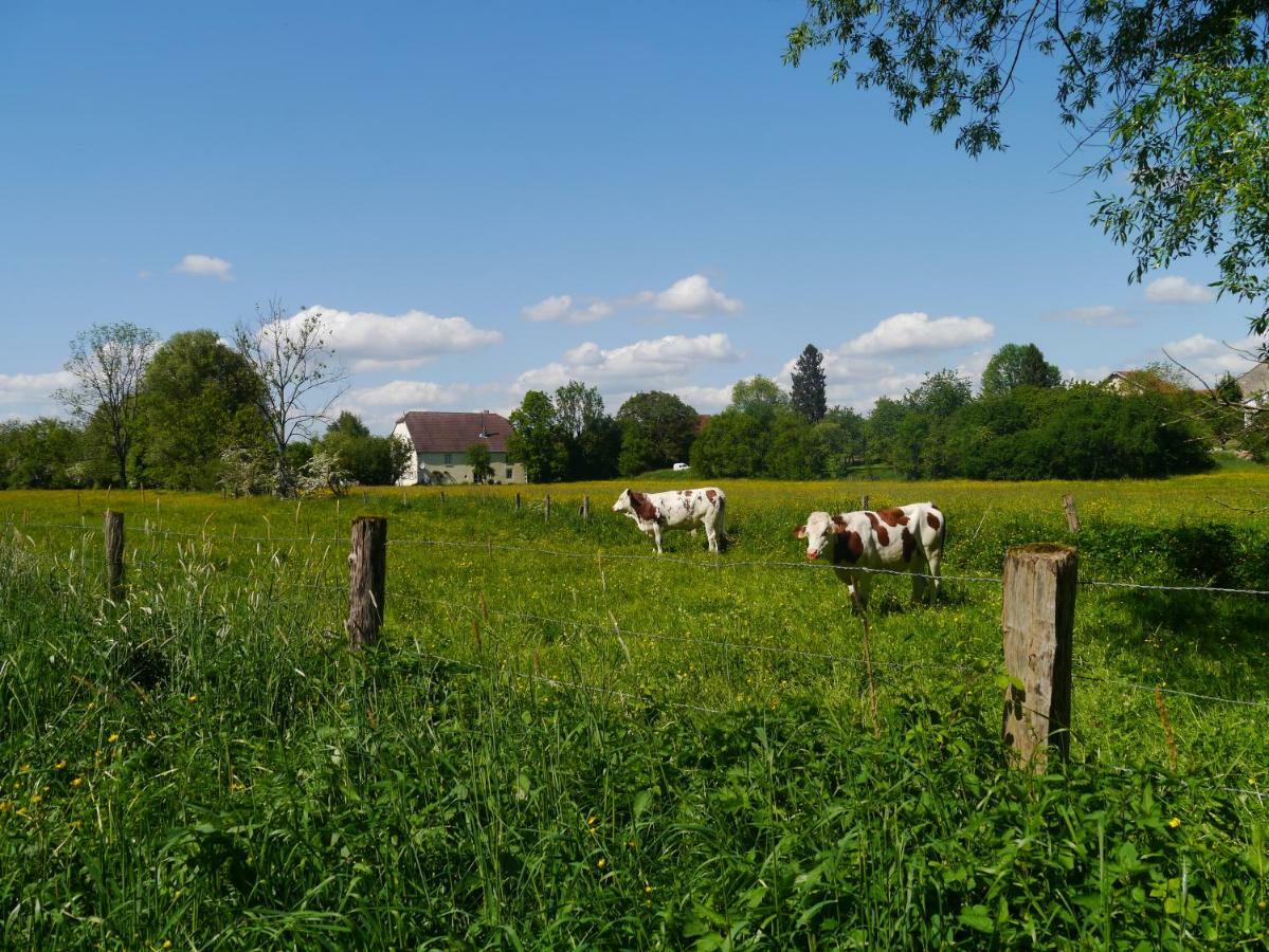 La Maison Au Vert Melincourt Eksteriør billede